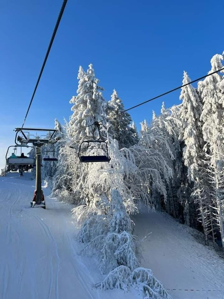 Haus Annemiek Lejlighed Winterberg Eksteriør billede