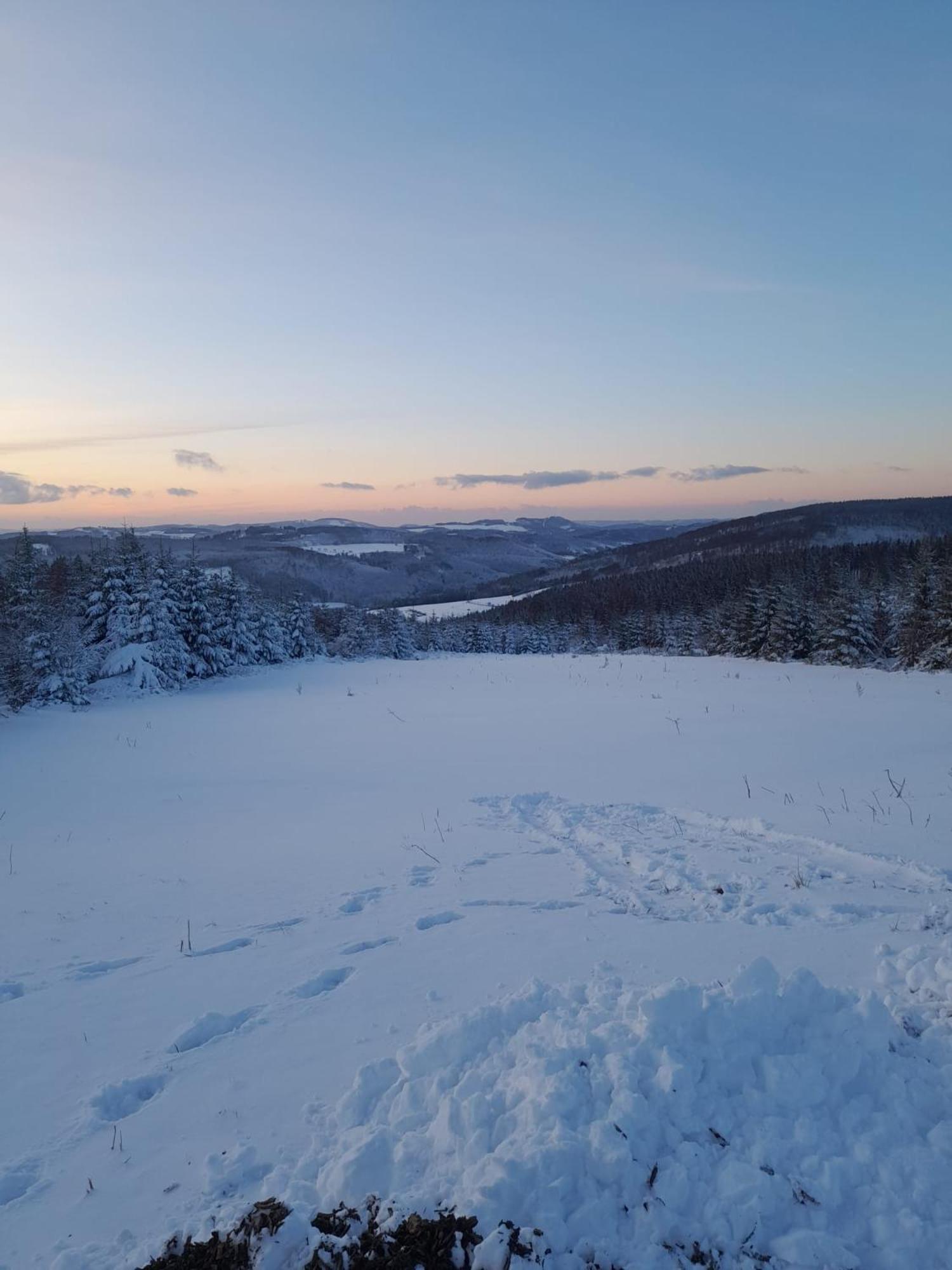 Haus Annemiek Lejlighed Winterberg Eksteriør billede