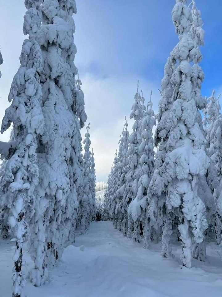 Haus Annemiek Lejlighed Winterberg Eksteriør billede