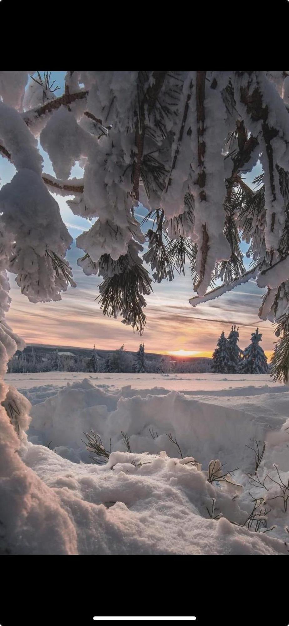 Haus Annemiek Lejlighed Winterberg Eksteriør billede